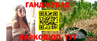 первитин Гатчина