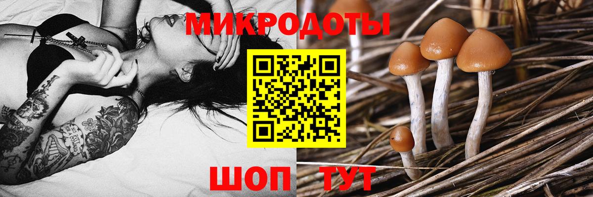 Мончегорск  Псилоцибиновые грибы мицелий  Вход с VPN  Галлюциногенные грибы Magic Shrooms 
