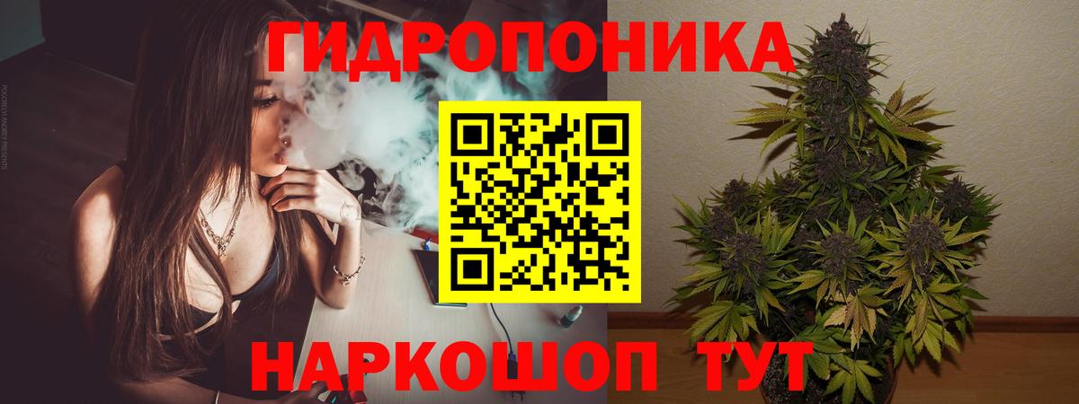 Канабис Ganja Мончегорск